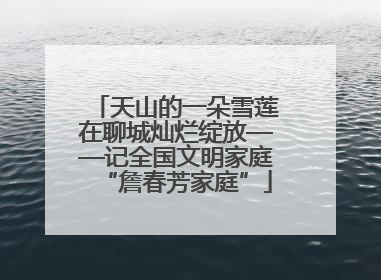 天山的一朵雪莲在聊城灿烂绽放——记全国文明家庭“詹春芳家庭”